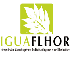 Iguaflhor