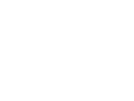 logo Pure Vision