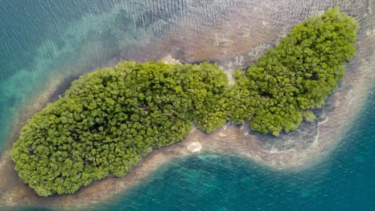 Parc National de Guadeloupe